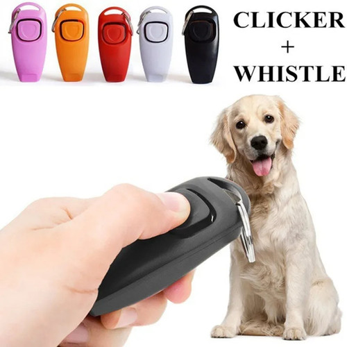 Profi hundetrainings tool - profi-,
