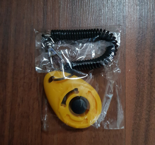 Clicker hund katze - katze,