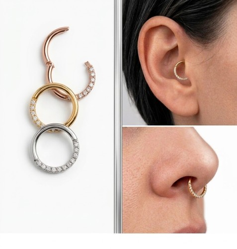 Piercing titan segment ring - segment,
