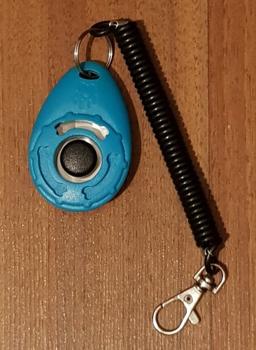 Clicker hund katze - hund, blau