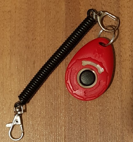 Clicker hund katze - -,